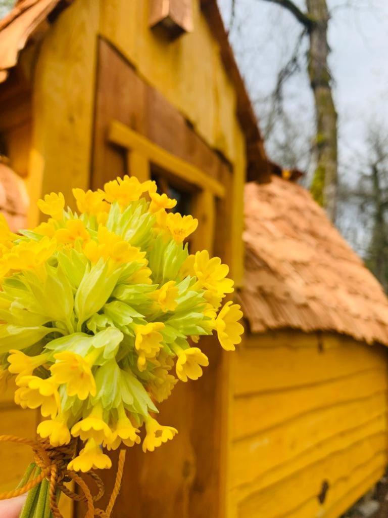 Camping Ushuaia Villages Au Bois Joli Andryes المظهر الخارجي الصورة